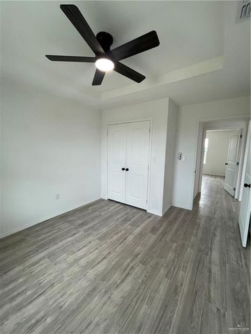 2421 Trinidad Luna Lane, Alton, TX 78573