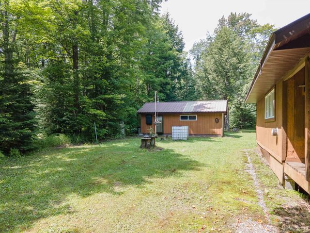 436 Forest 3920 Road, Iron River, MI 49935