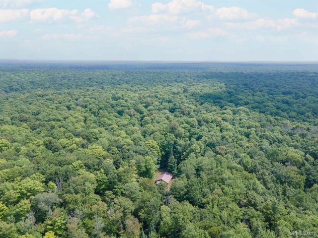 436 Forest 3920 Road, Iron River, MI 49935