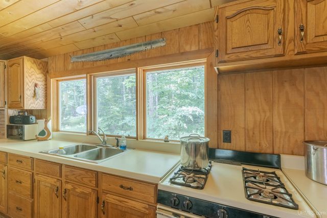 436 Forest 3920 Road, Iron River, MI 49935