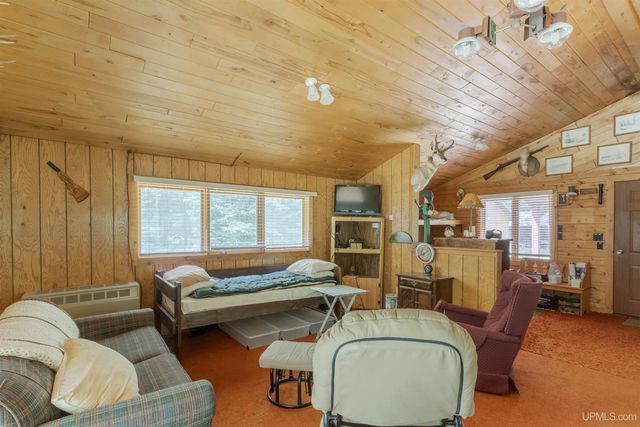 436 Forest 3920 Road, Iron River, MI 49935