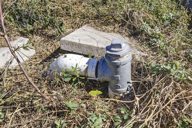 16296 Deer Path Lane, Wellington, FL 33470