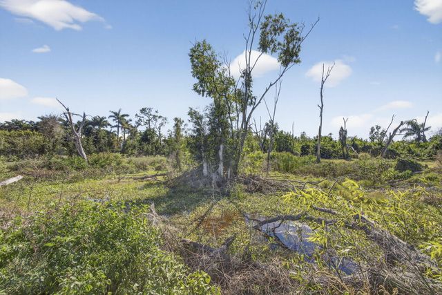 16296 Deer Path Lane, Wellington, FL 33470