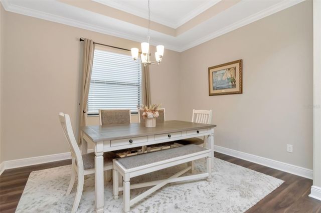 11247 PADDOCK MANOR AVENUE, Riverview, FL 33569