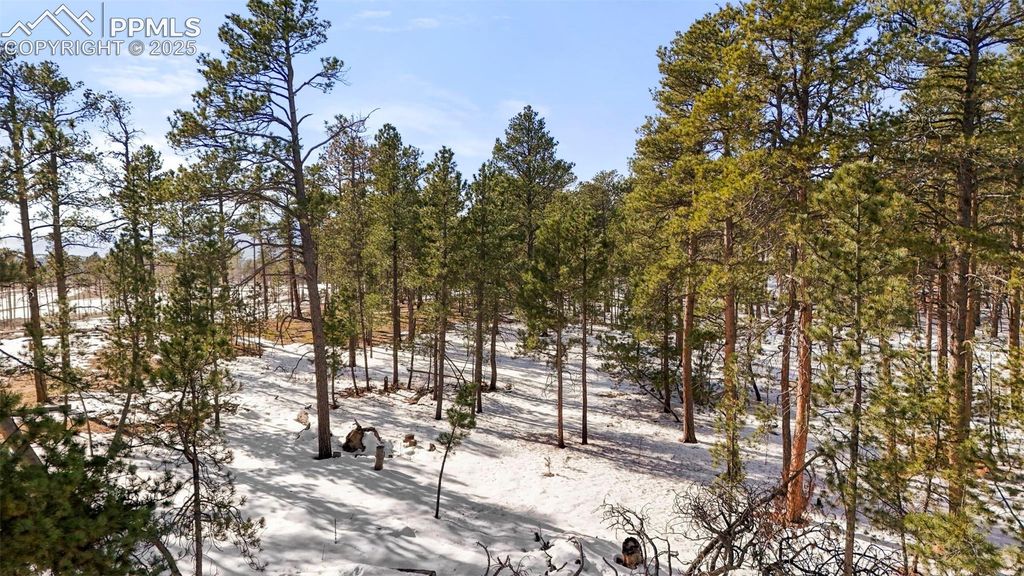 Snow mass Drive, Colorado Springs, CO 80908 — photo 3