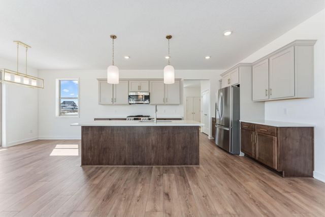 15032 Ardmullivan Lane, Rosemount, MN 55068