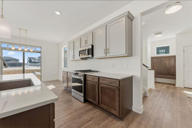 15032 Ardmullivan Lane, Rosemount, MN 55068