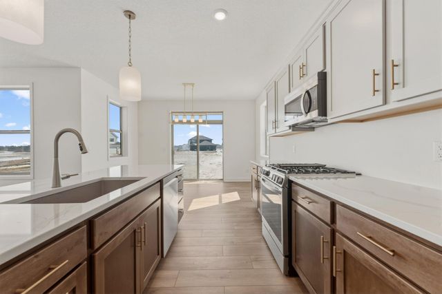 15032 Ardmullivan Lane, Rosemount, MN 55068