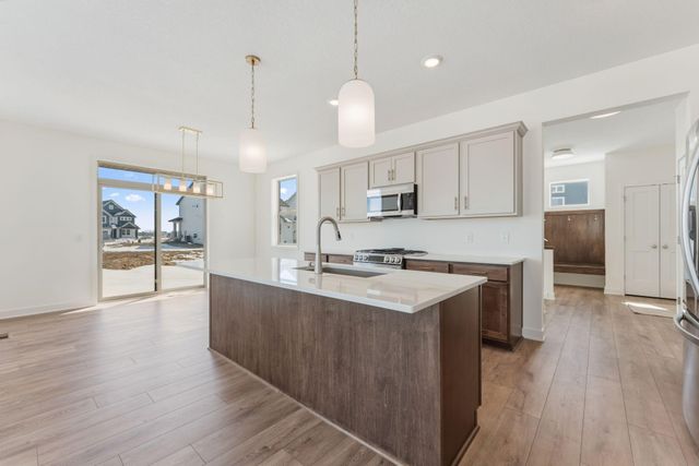 15032 Ardmullivan Lane, Rosemount, MN 55068