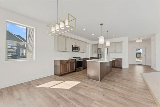 15032 Ardmullivan Lane, Rosemount, MN 55068