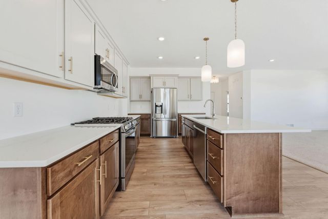 15032 Ardmullivan Lane, Rosemount, MN 55068