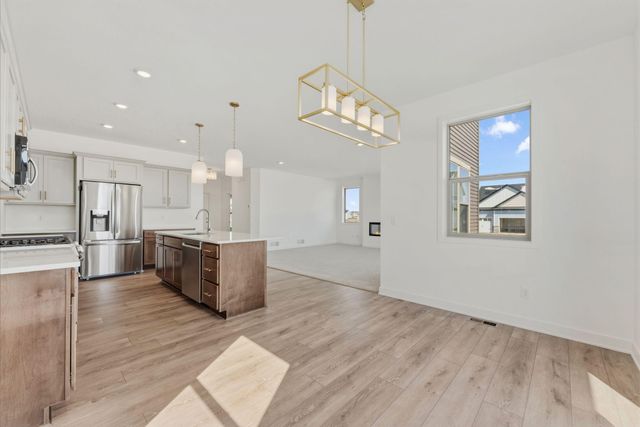 15032 Ardmullivan Lane, Rosemount, MN 55068