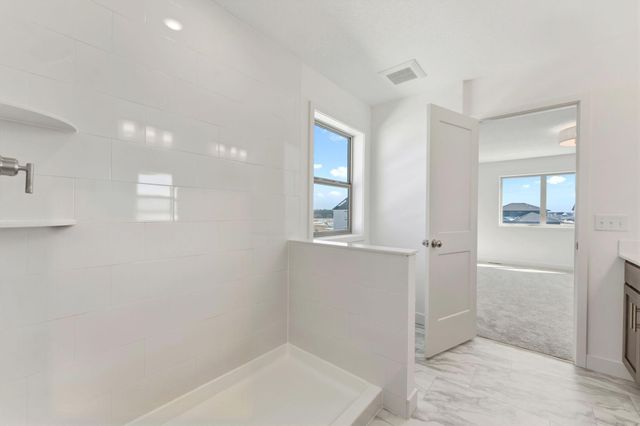 15032 Ardmullivan Lane, Rosemount, MN 55068