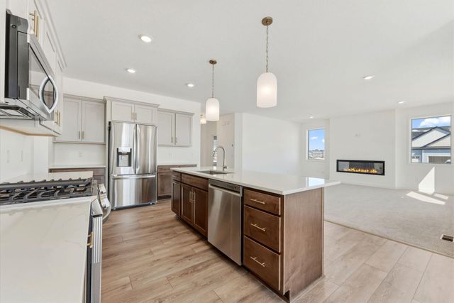 15032 Ardmullivan Lane, Rosemount, MN 55068