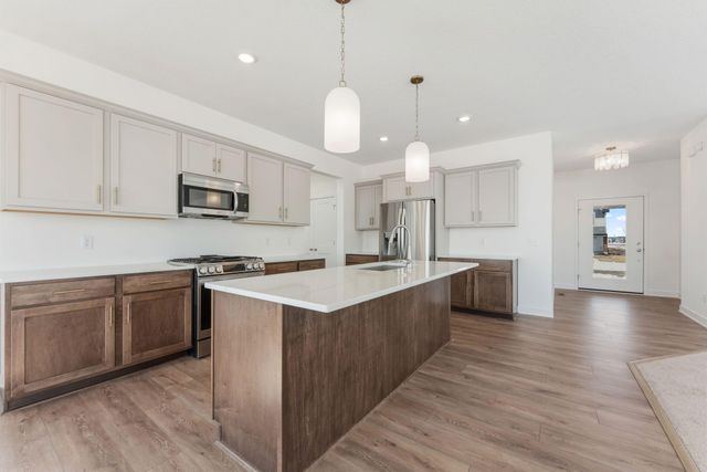 15032 Ardmullivan Lane, Rosemount, MN 55068