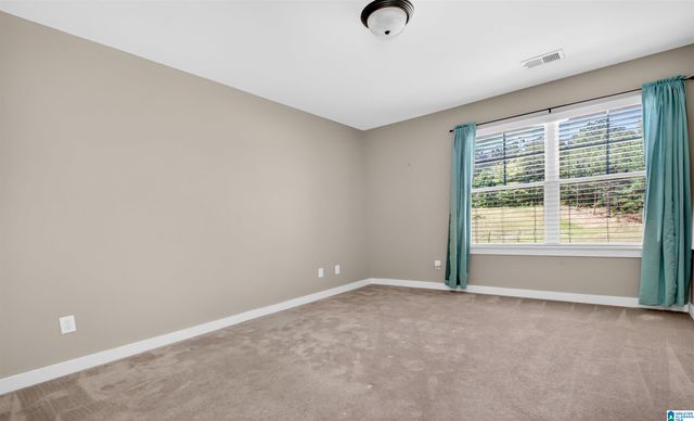 317 APPLEFORD ROAD, Helena, AL 35080