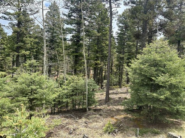 357 Big Horn Road, Manitou Springs, CO 80829