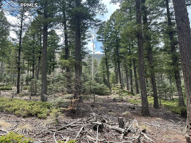 357 Big Horn Road, Manitou Springs, CO 80829