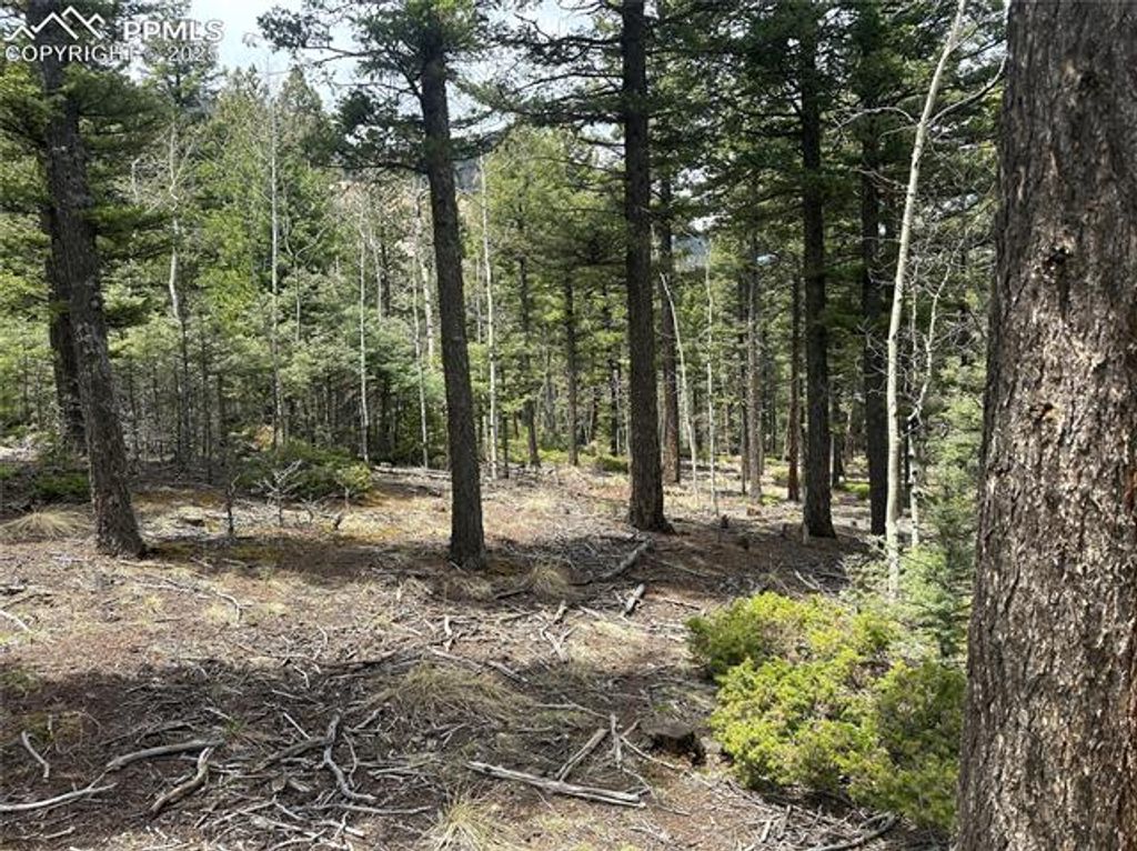 357 Big Horn Road, Manitou Springs, CO 80829 — photo 2