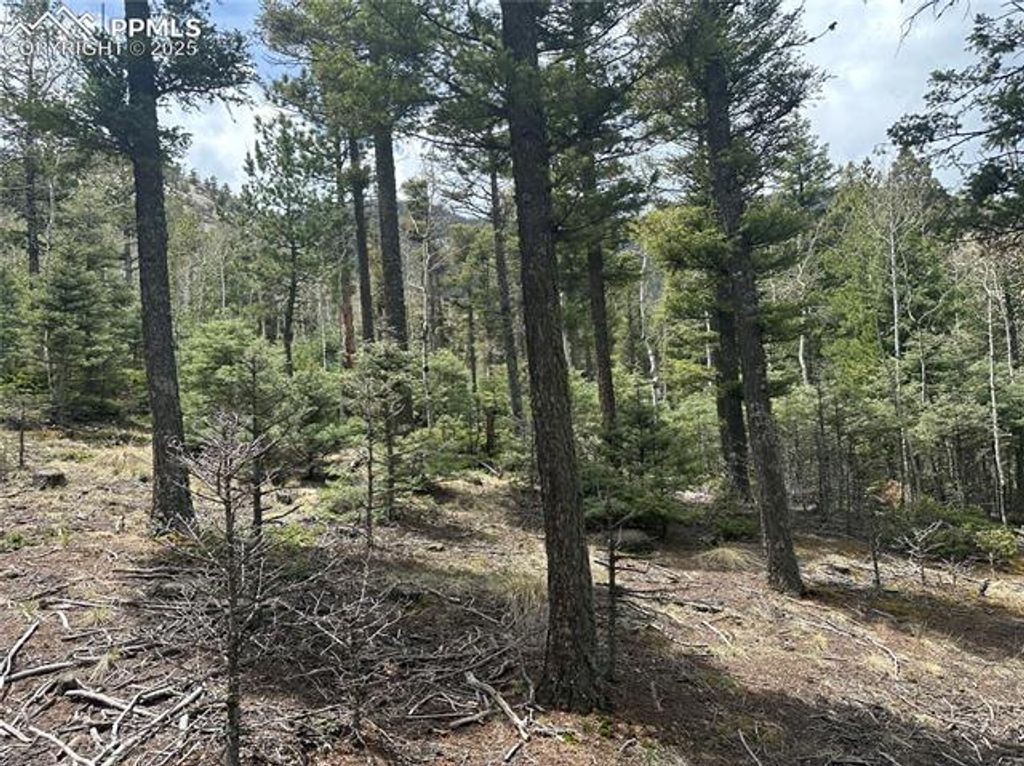357 Big Horn Road, Manitou Springs, CO 80829 — photo 3