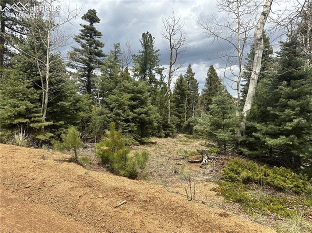 357 Big Horn Road, Manitou Springs, CO 80829 — photo 5