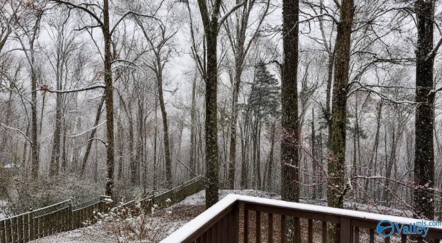 120 Deer Run Lane, Harvest, AL 35749