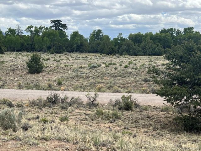 1592 Spanish Creek Rd, Crestone, CO 81131