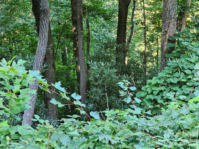 109 Big Ridge Road 109, Burnsville, NC 28714