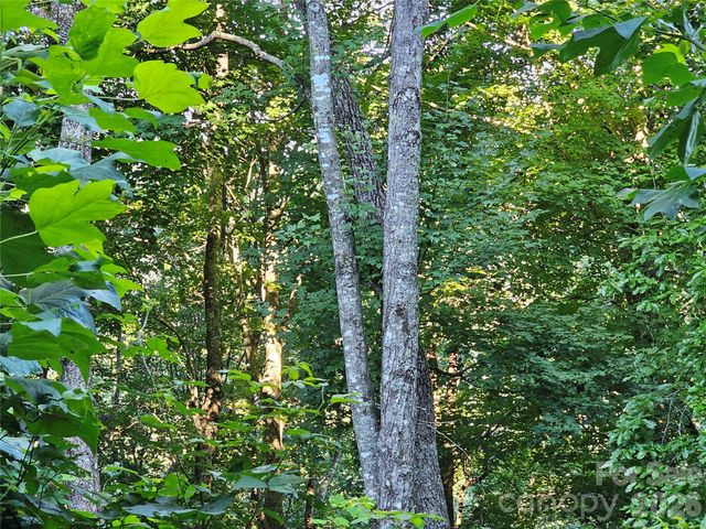 109 Big Ridge Road 109, Burnsville, NC 28714