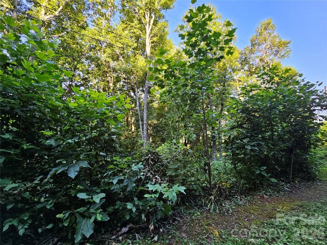 109 Big Ridge Road 109, Burnsville, NC 28714