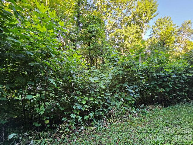 109 Big Ridge Road 109, Burnsville, NC 28714