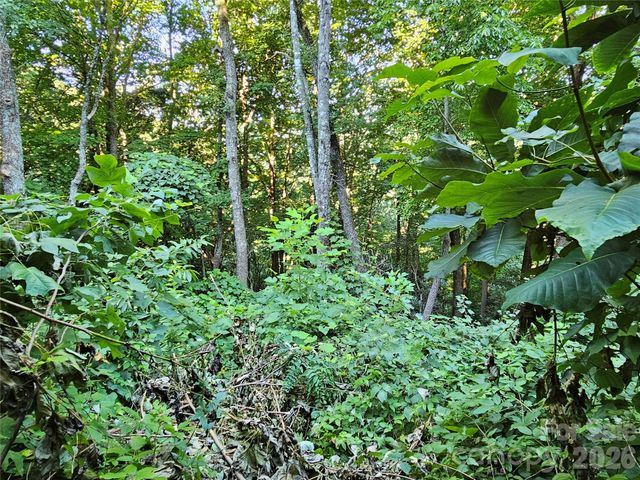 109 Big Ridge Road 109, Burnsville, NC 28714