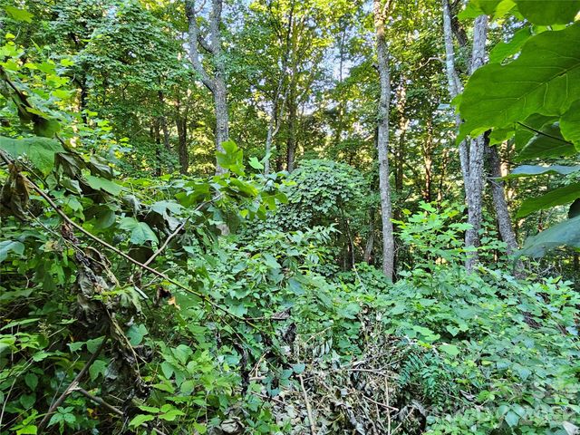 109 Big Ridge Road 109, Burnsville, NC 28714