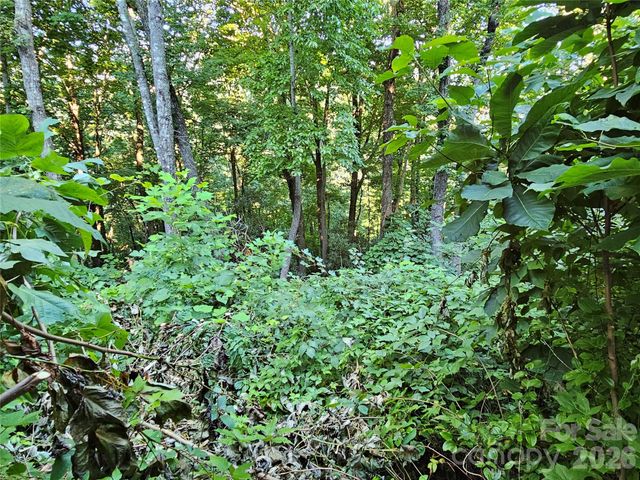 109 Big Ridge Road 109, Burnsville, NC 28714