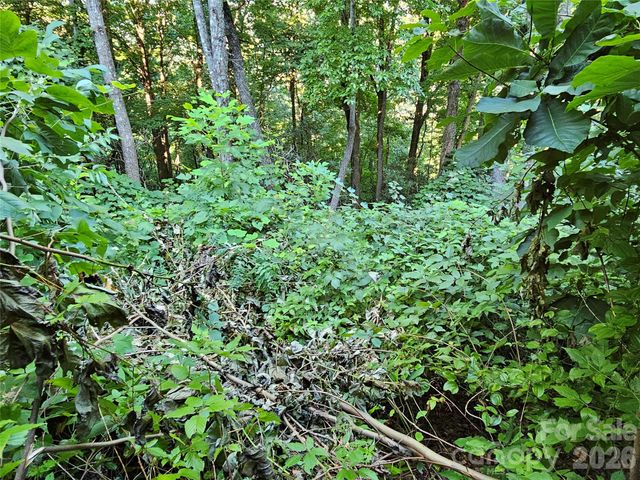 109 Big Ridge Road 109, Burnsville, NC 28714