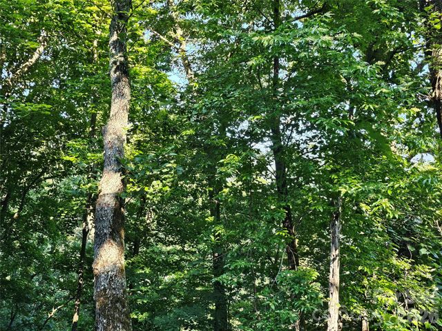 109 Big Ridge Road 109, Burnsville, NC 28714