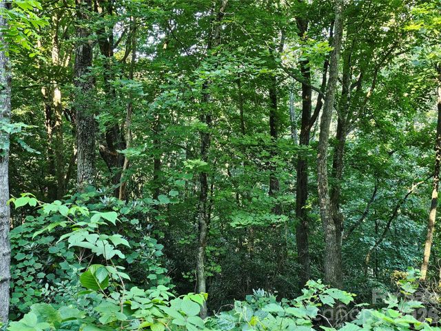 109 Big Ridge Road 109, Burnsville, NC 28714