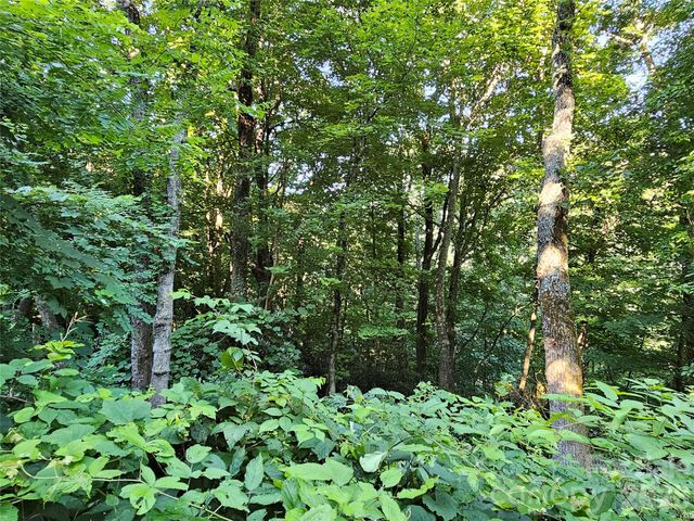 109 Big Ridge Road 109, Burnsville, NC 28714