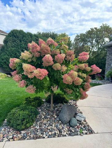 2490 Cambridge Way, Shakopee, MN 55379