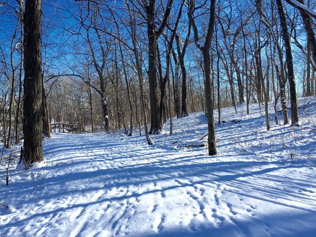 9 Buckingham Drive, Sugar Grove, IL 60554