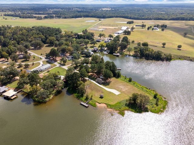 16691 S Lakeview Drive, Troup, TX 75789