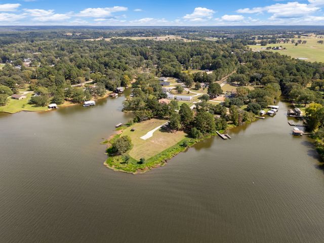 16691 S Lakeview Drive, Troup, TX 75789