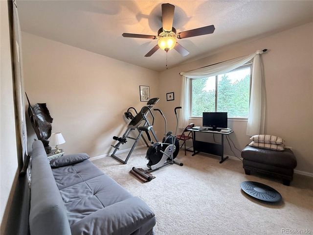 1102 E Sabeta Ave, Poncha Springs, CO 81242
