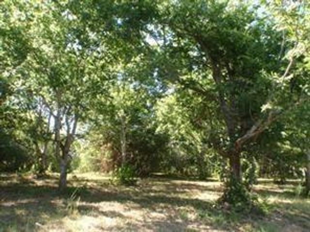 LOT 3 OR 8 Duncan Drive, Oyster Creek, TX 77541
