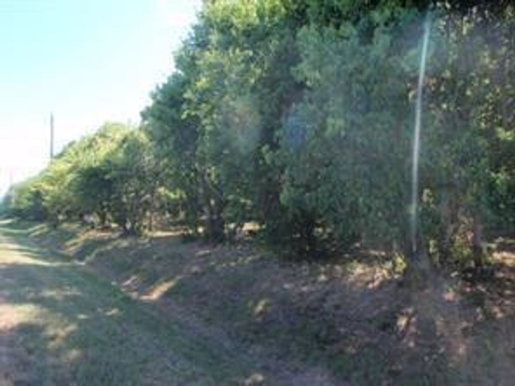 LOT 3 OR 8 Duncan Drive, Oyster Creek, TX 77541