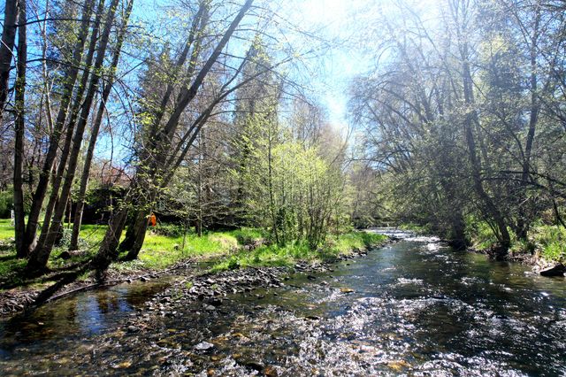 3356 Little Applegate Road, Jacksonville, OR 97530