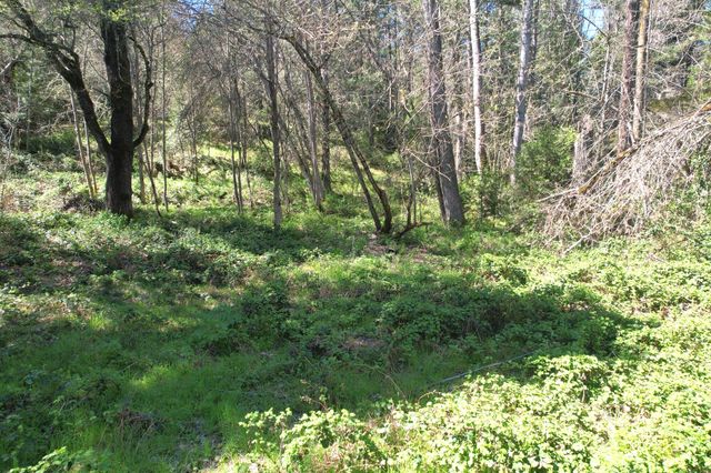 3356 Little Applegate Road, Jacksonville, OR 97530