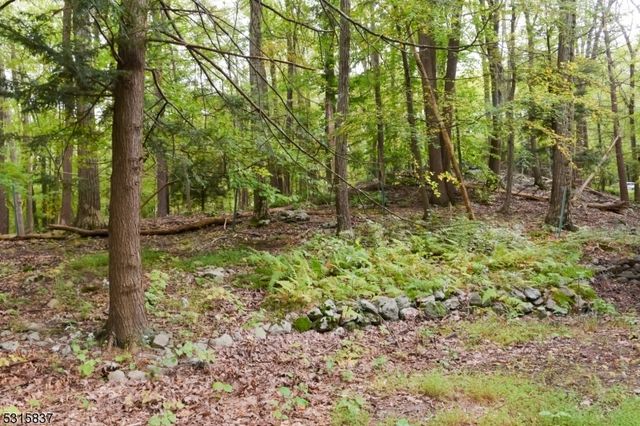 56 Appleseed Rd, Vernon Twp., NJ 07461