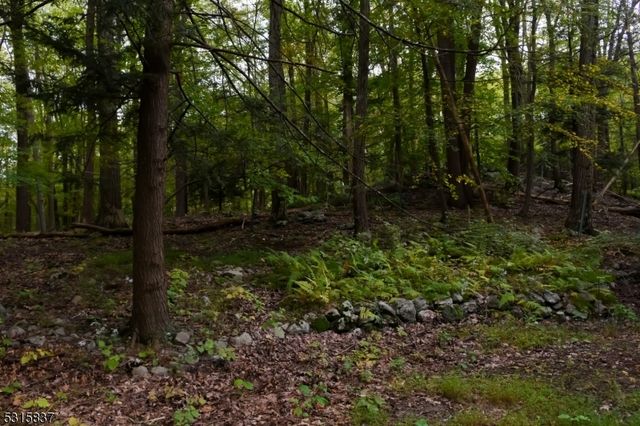 56 Appleseed Rd, Vernon Twp., NJ 07461