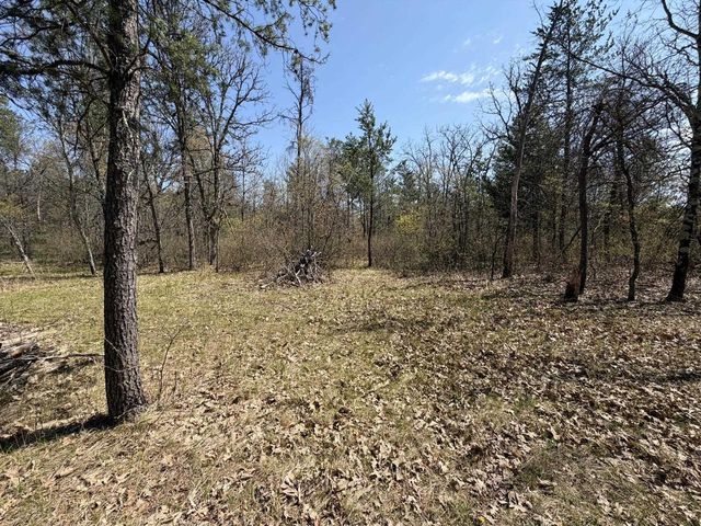 330 Blue Waters Trail, Nekoosa, WI 54457
